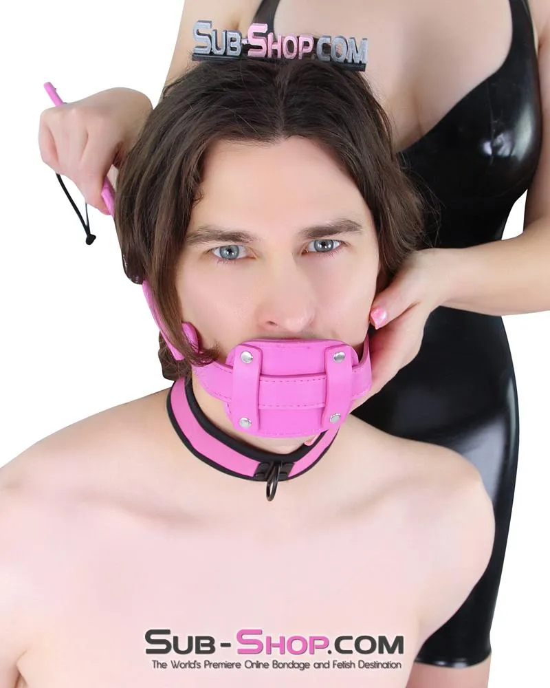 5709RS-SIS      Pretty Sissy Bimbo Sissy Training Cock Sucker Hot Pink Locking Penis Gag
